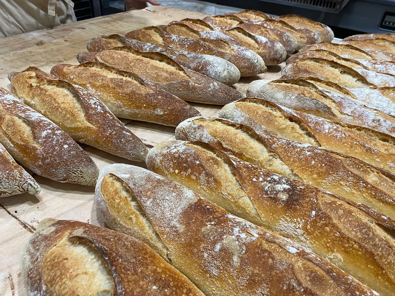 Empanada galega tradicional
